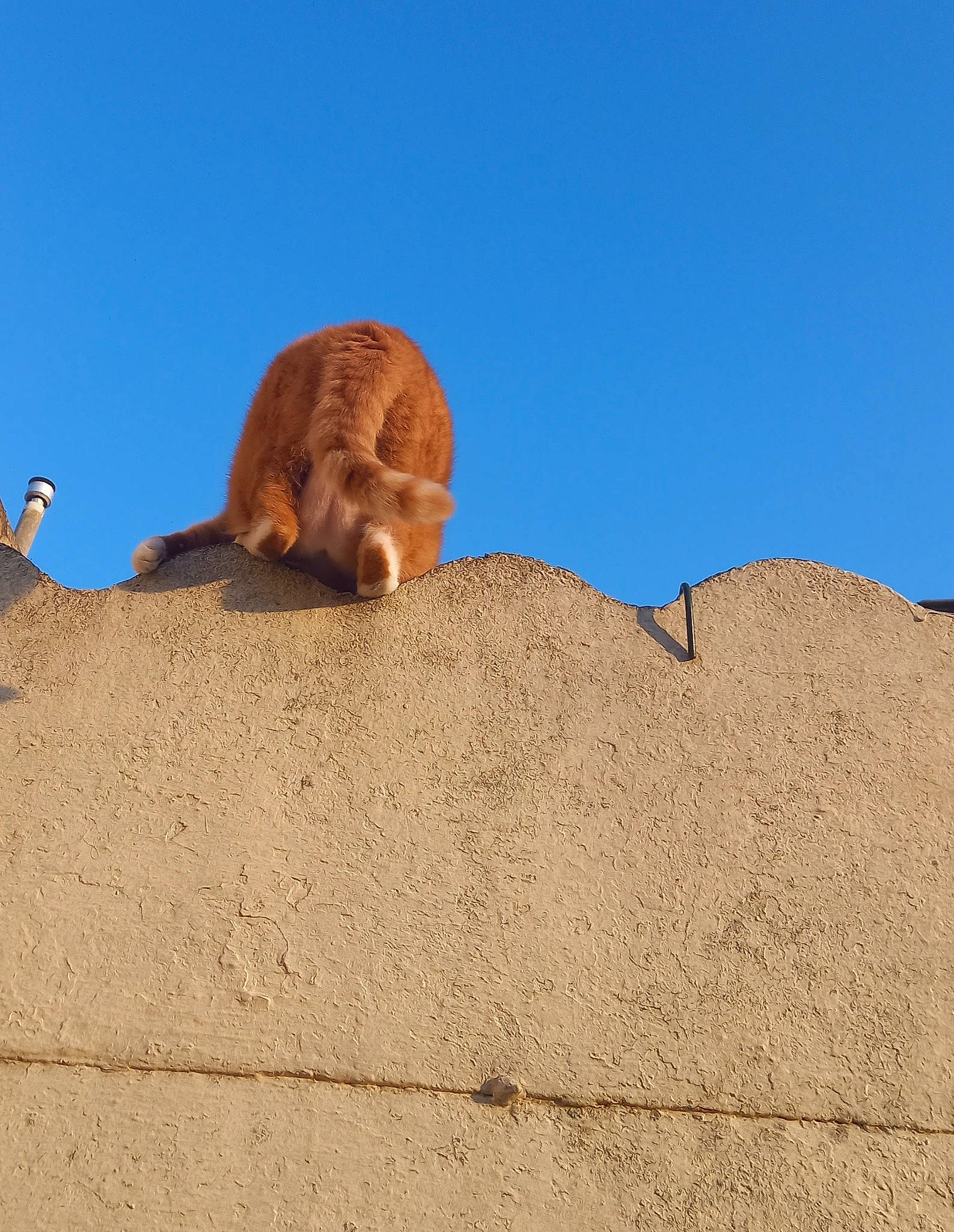 Roro a rejoint le concours — aidez-le/la à gagner de superbes lots ! aeolian_landform, ancient_history, arch, art, artifact, badlands, bedrock, fawn, landscape, makhtesh, monument, outcrop, plateau, rock, sand, shadow, sky, soil, terrestrial_animal, wildlife