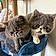 Roxy And Piper