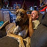Greyson joined the competition — help win amazing prizes! dog, great_dane, man, couch, indoor, relaxed, pet, ears, furniture, bottle, bar, sign, leisure, brown, large_dog, portrait, person, home, resting, companion