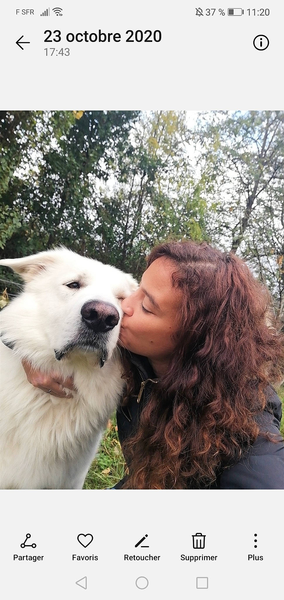 Bouli participe au concours pour gagner de l'argent avec cette photo : canidae, carnivore, companion_dog, dog, dog_breed, fawn, fun, fur, gesture, giant_dog_breed, happy, jaw, kiss, leisure, people_in_nature, plant, smile, spitz, sporting_group, tree