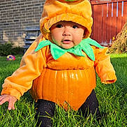Kionna joined the competition — help win amazing prizes! baby, pumpkin_costume, grass, outdoor, child, cute, greenery, sunlight, fall, seasonal, costume, garden, brick_wall, fence, plush, orange, green, sitting, happy, portrait
