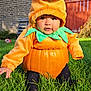 baby, pumpkin_costume, grass, outdoor, child, cute, greenery, sunlight, fall, seasonal, costume, garden, brick_wall, fence, plush, orange, green, sitting, happy, portrait
