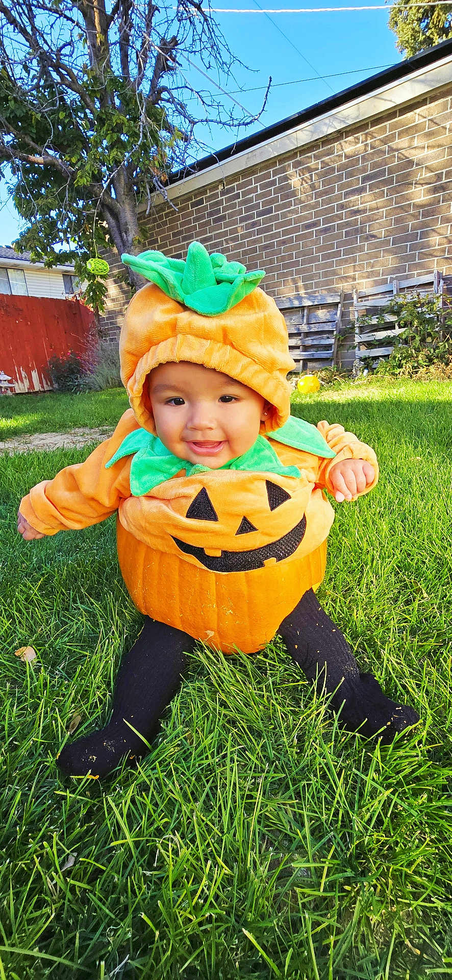 Kionna is registered to the contest to win money with this photo: baby, child, pumpkin_costume, halloween, grass, outdoor, smile, cute, greenery, costume, holiday, festive, autumn, yard, playful, happy, toddler, seasonal, nature, fun