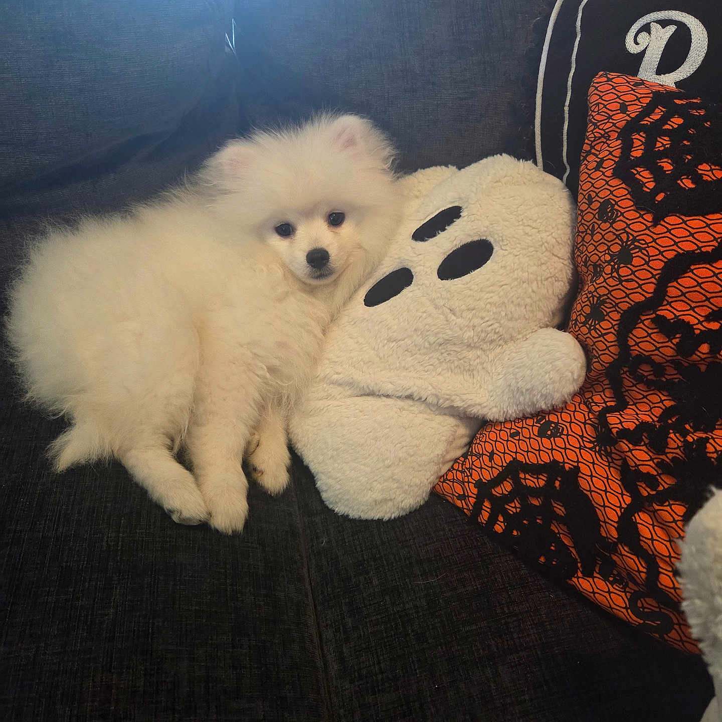 Snowball