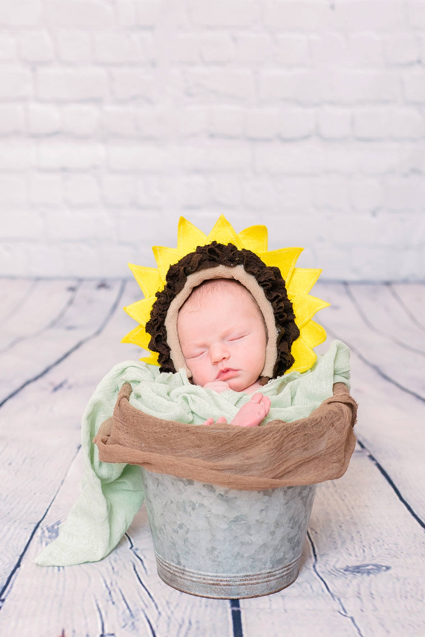 Lucie is registered to the contest to win money with this photo: baby, child, crown, flower, headgear, headpiece, outerwear, person, photography, plant, room, toddler, yellow