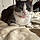 Kizzy
