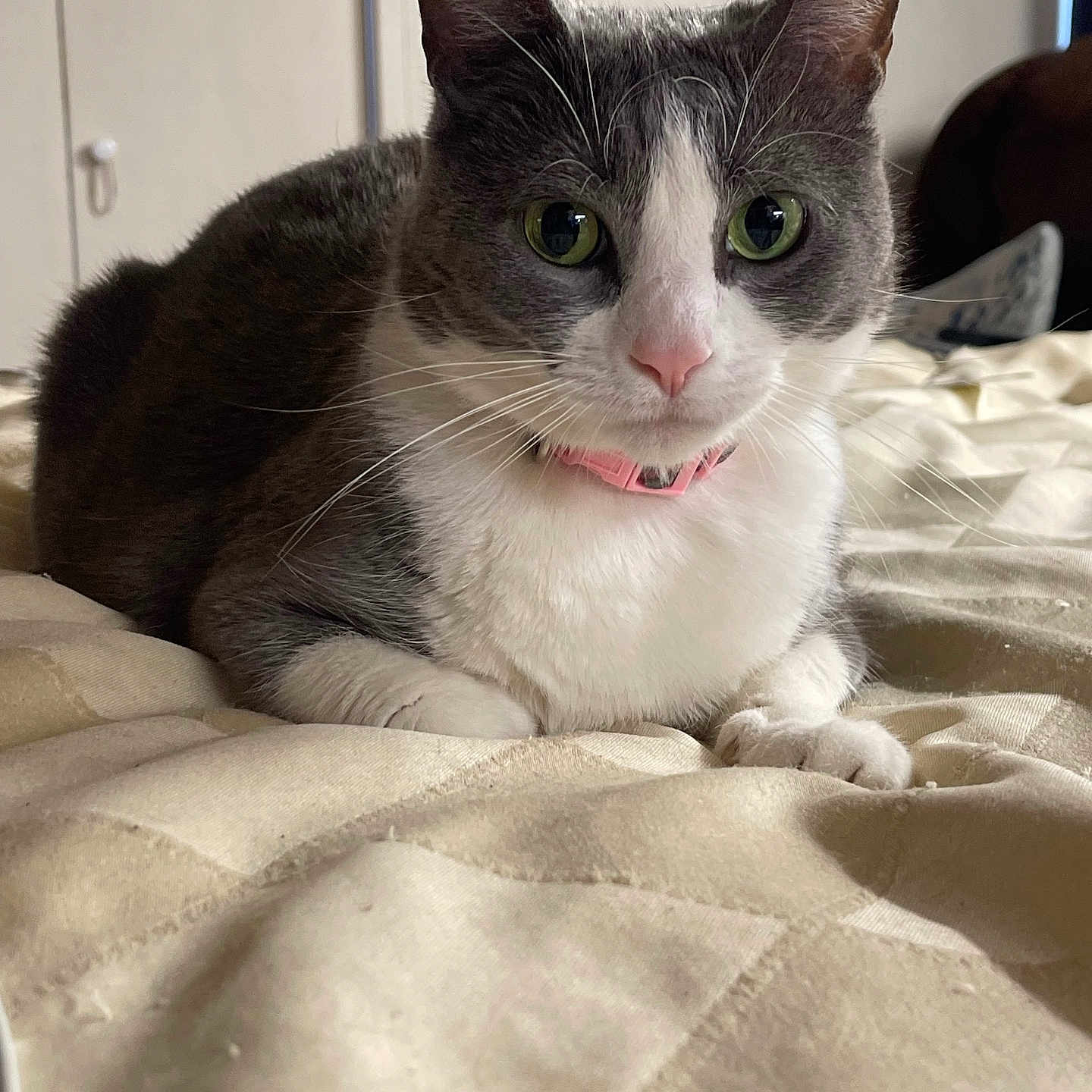 Kizzy
