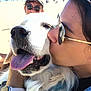 dog, person, sunglasses, kiss, happy, tongue_out, close_up, outdoor, sunny, sand, hill, cap, smile, affection, watch, denim, fur, pet, summer, portrait