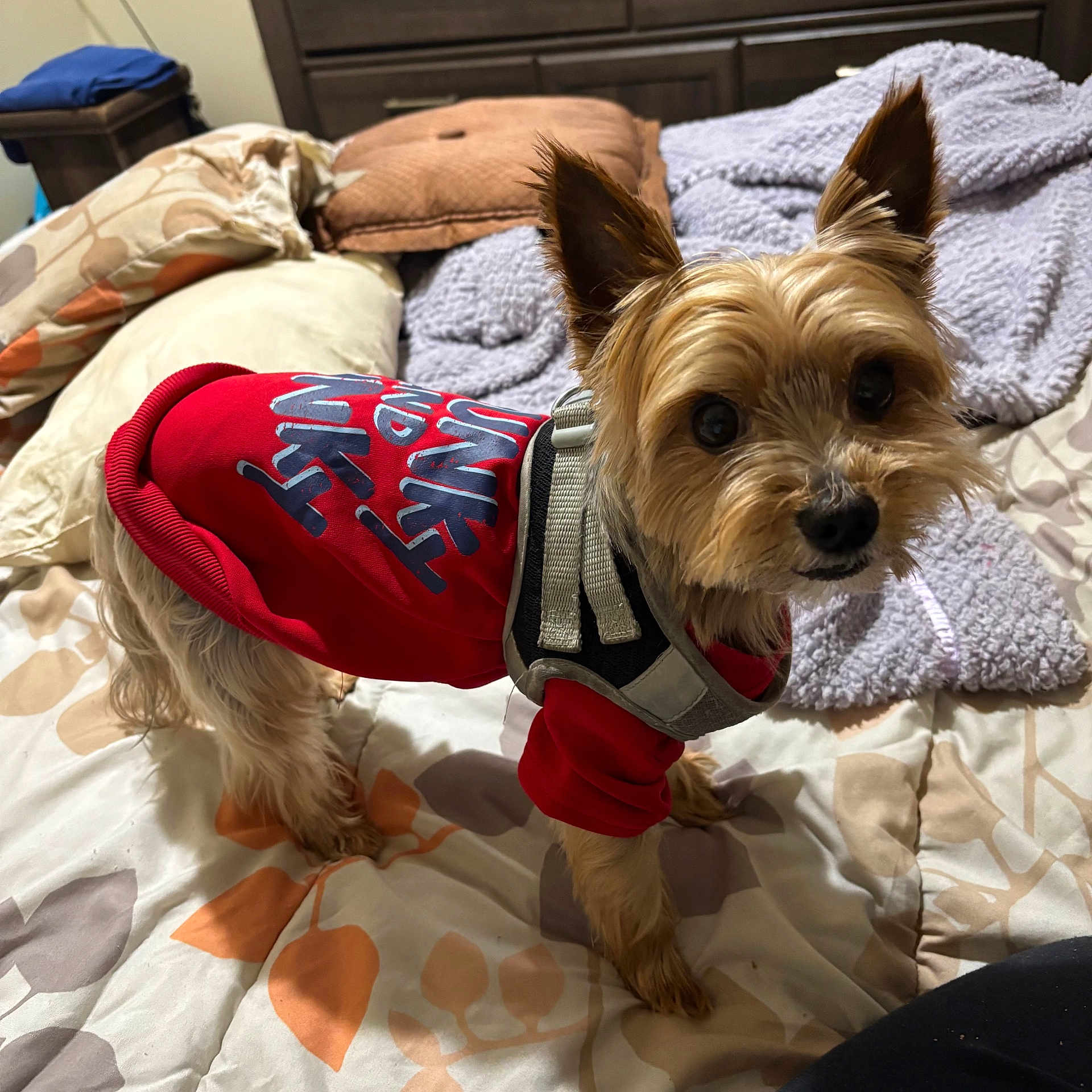 Milo