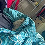 Kirby is registered to the contest to win money with this photo: dog, blanket, bed, indoor, cozy, fur, blue, pattern, clothing, hanger, shelf, room, furniture, sleeping, pet, canine, comfort, household, relaxation, messy