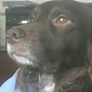 Stanley participe au concours pour gagner de l'argent avec cette photo :