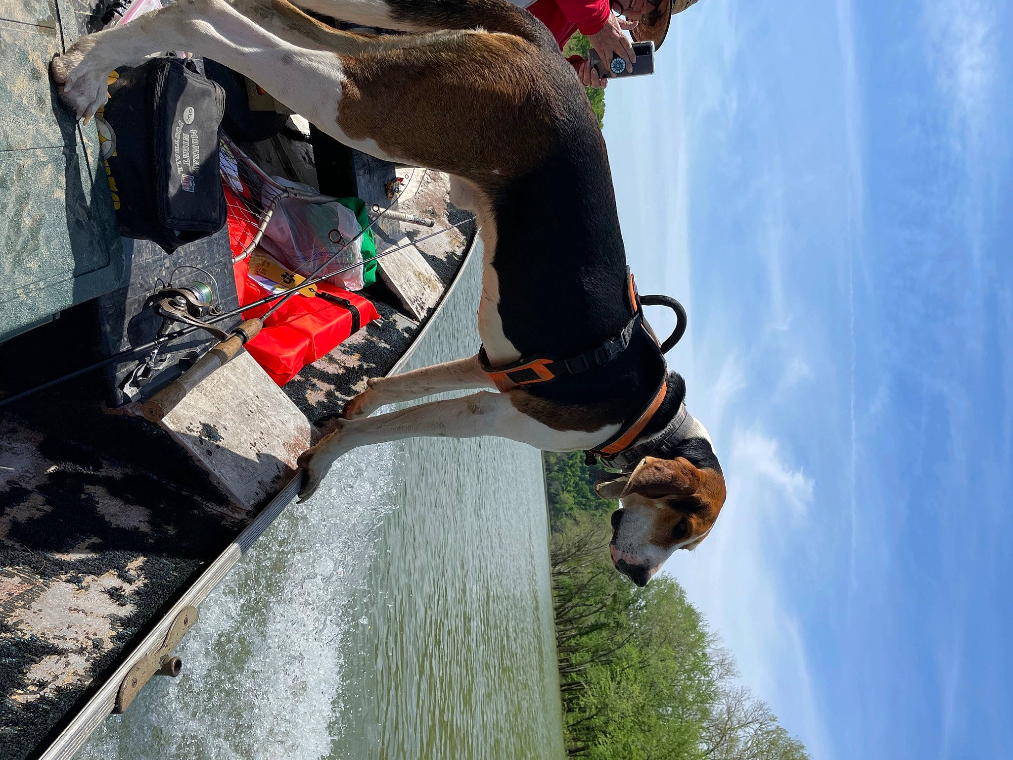 Milo joined the competition — help win amazing prizes! adventure, asphalt, auto_part, automotive_exterior, carmine, climbing, cloud, extreme_sport, fun, leisure, personal_protective_equipment, recreation, rock_climbing_equipment, rope, sky, soil, sport_climbing, toy, tree, water