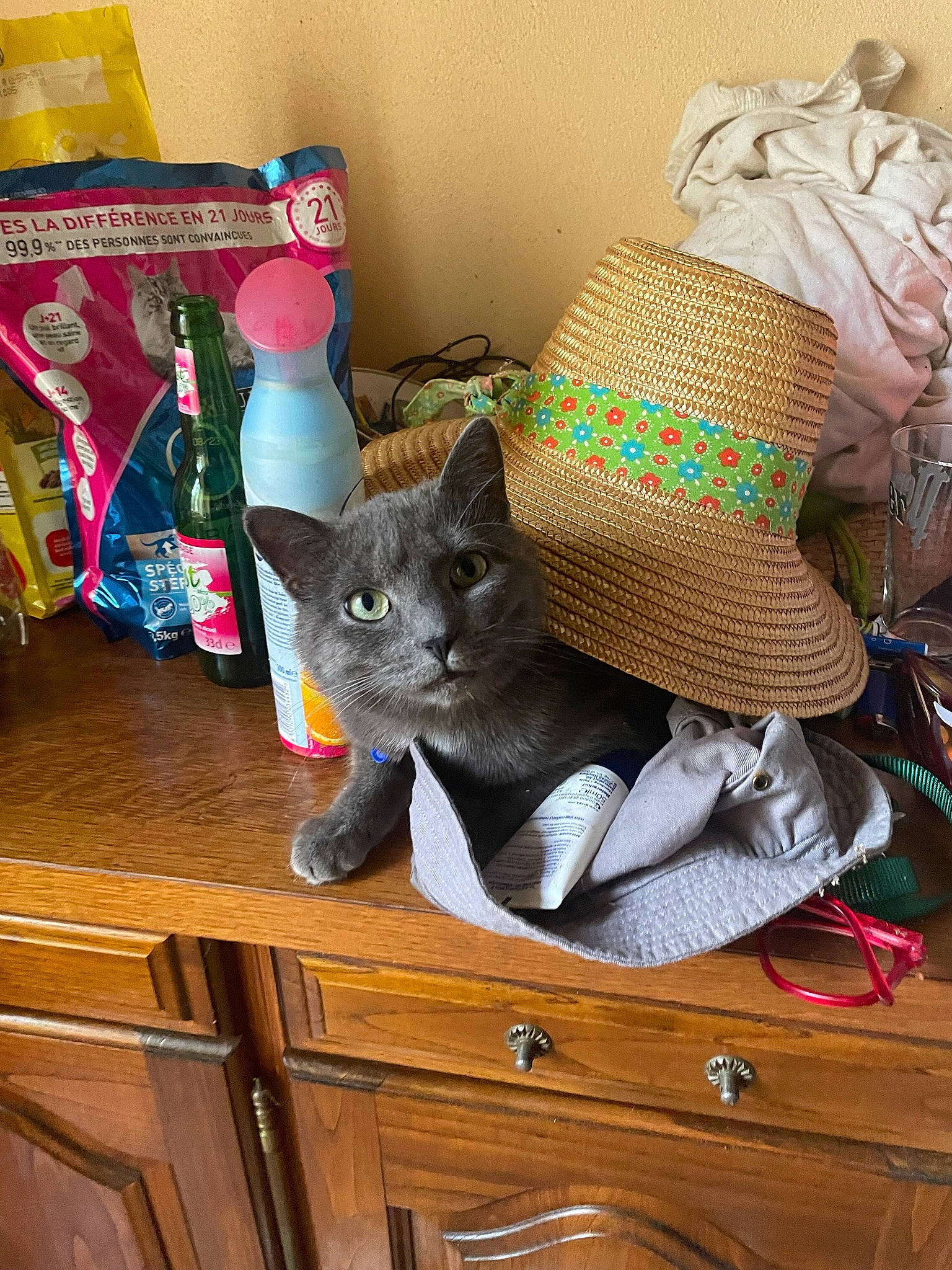 Happy a rejoint le concours — aidez-le/la à gagner de superbes lots ! bottle, cabinetry, carnivore, cat, cat_supply, comfort, domestic_short_haired_cat, drawer, fedora, felidae, grey, hardwood, hat, room, small_to_medium_sized_cats, sun_hat, table, tail, whiskers, wood
