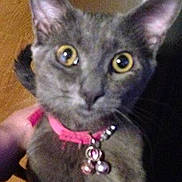 Tilly is registered to the contest to win money with this photo: