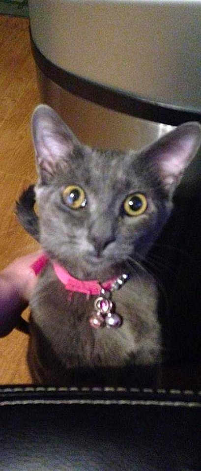 Tilly