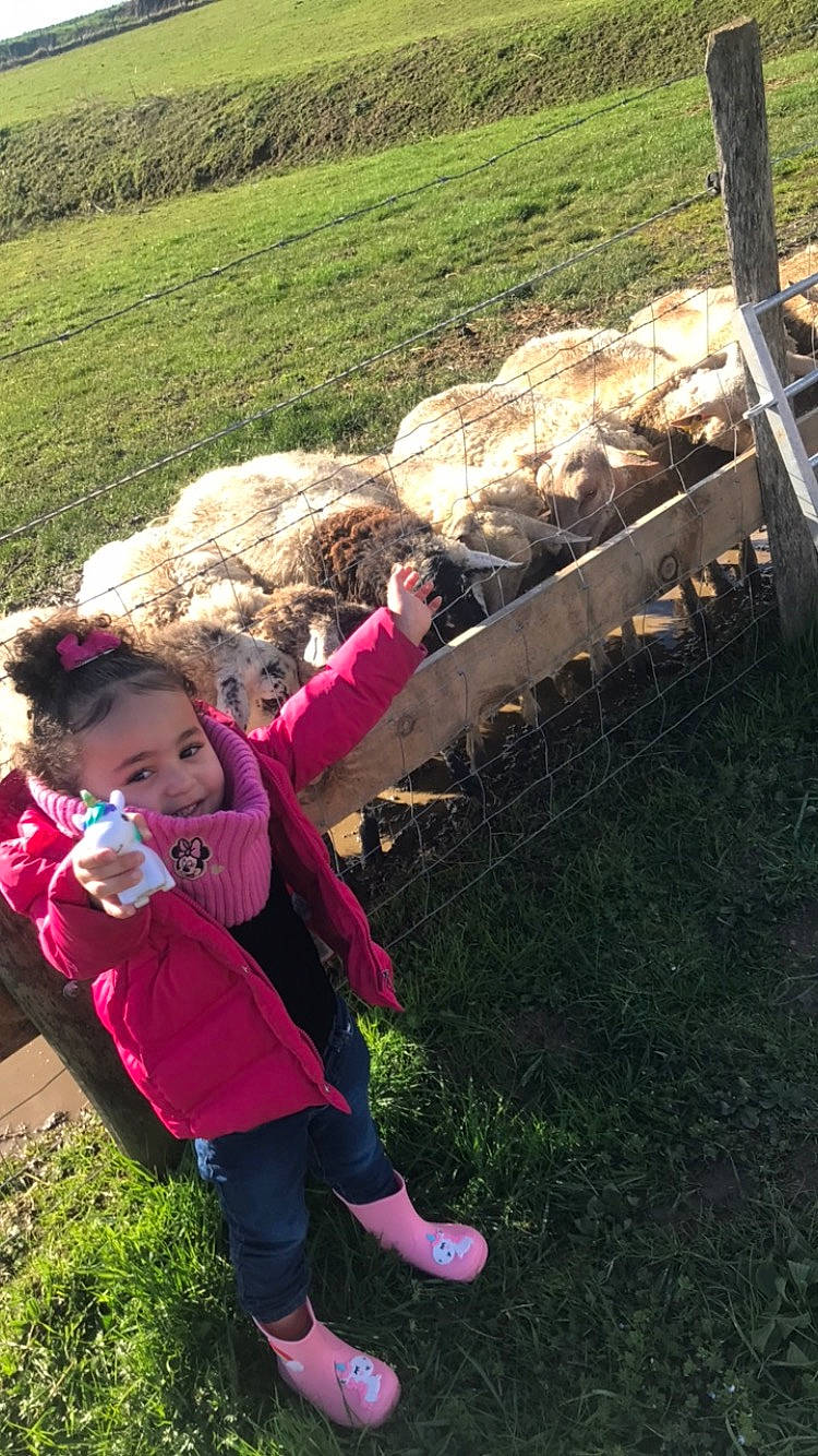 Naïla participe au concours pour gagner de l'argent avec cette photo : agriculture, field, grass, grass_family, grassland, green, happy, hay, landscape, leisure, livestock, magenta, people_in_nature, person, plant, recreation, sheep, shrub, soil, toddler