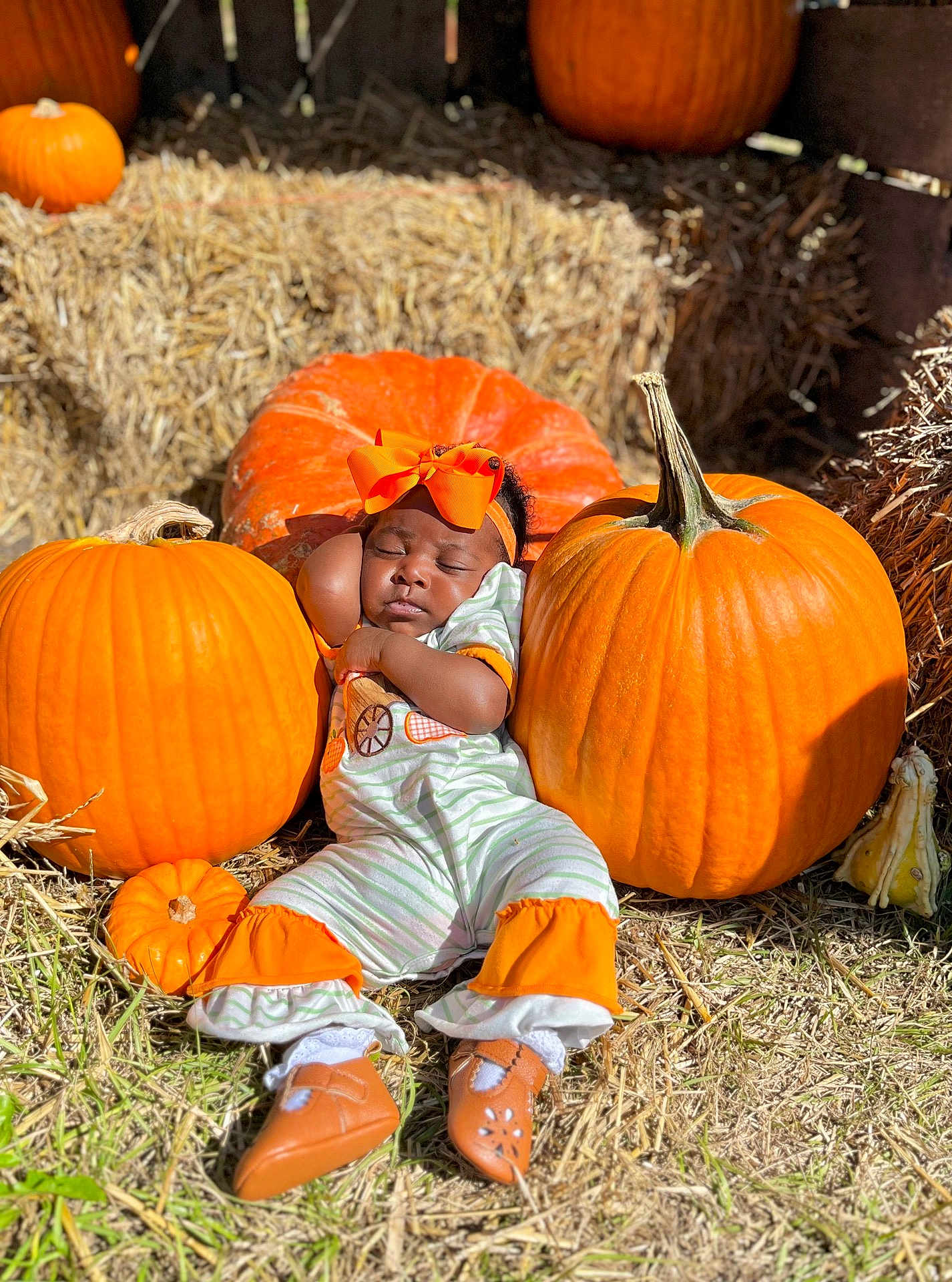 Aurora is registered to the contest to win money with this photo: baby, pumpkin, hay, outdoor, sleeping, child, orange, fall, autumn, cute, headband, grass, footwear, nature, seasonal, costume, resting, small, sunlight, peaceful