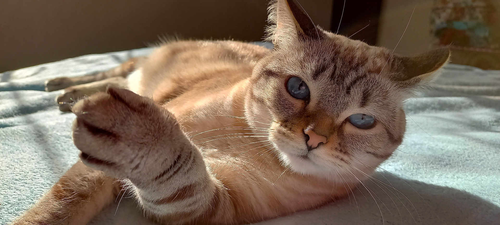 Zoe