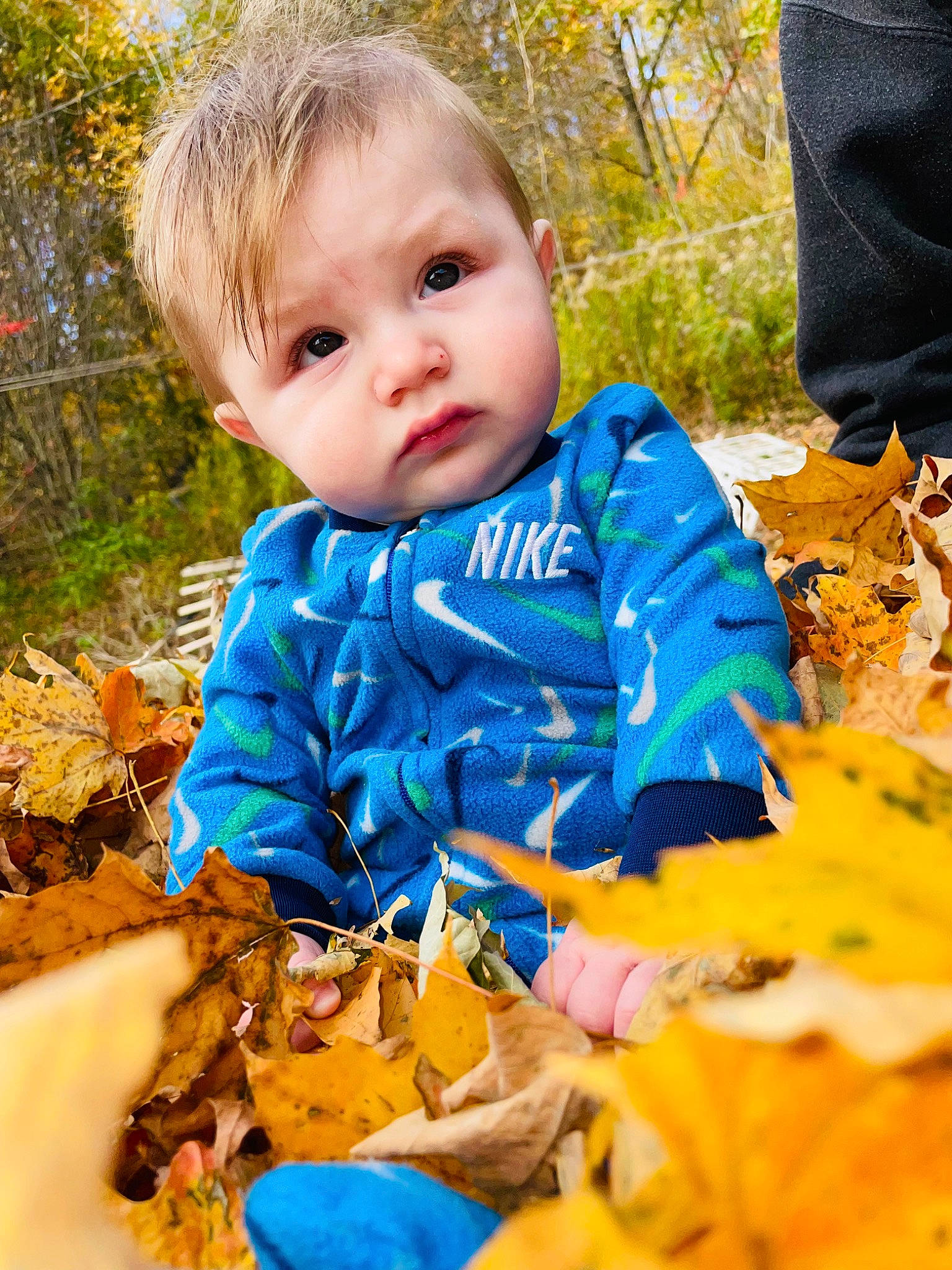 Amilio is registered to the contest to win money with this photo: baby, baby_toddler_clothing, child, deciduous, electric_blue, facial_expression, fun, grass, happy, nature, orange, people_in_nature, person, plant, sitting, summer, sunlight, toddler, tree, wood