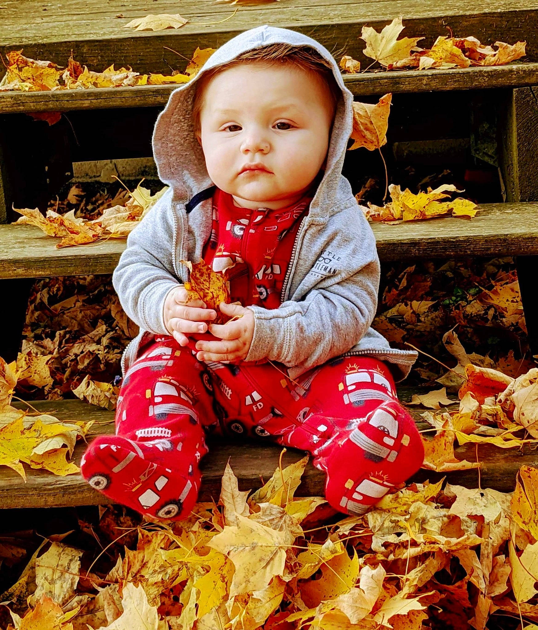 Amilio joined the competition — help win amazing prizes! autumn, baby, baby_toddler_clothing, cheek, child, deciduous, happy, headwear, leaf, local_food, orange, peach, people_in_nature, person, photograph, portrait_photography, shelf, sitting, sleeve, tints_and_shades