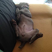 Lao participe au concours pour gagner de l'argent avec cette photo :