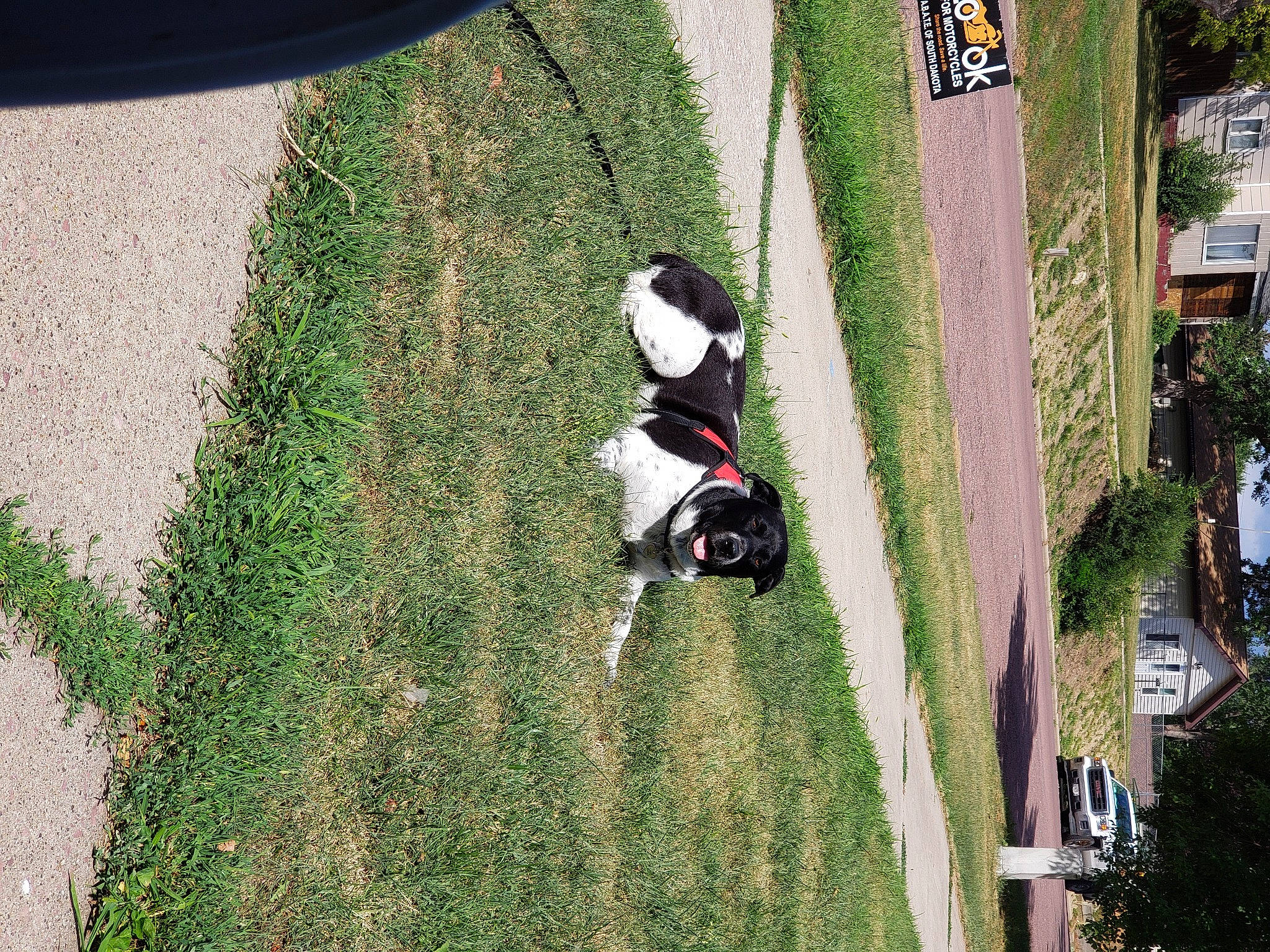 Kya is registered to the contest to win money with this photo: artificial_turf, asphalt, competition_event, extreme_sport, flooring, fun, grass, grass_family, landscape, lawn, leisure, plant, player, recreation, shadow, shrub, sidewalk, sports, sports_equipment, tree