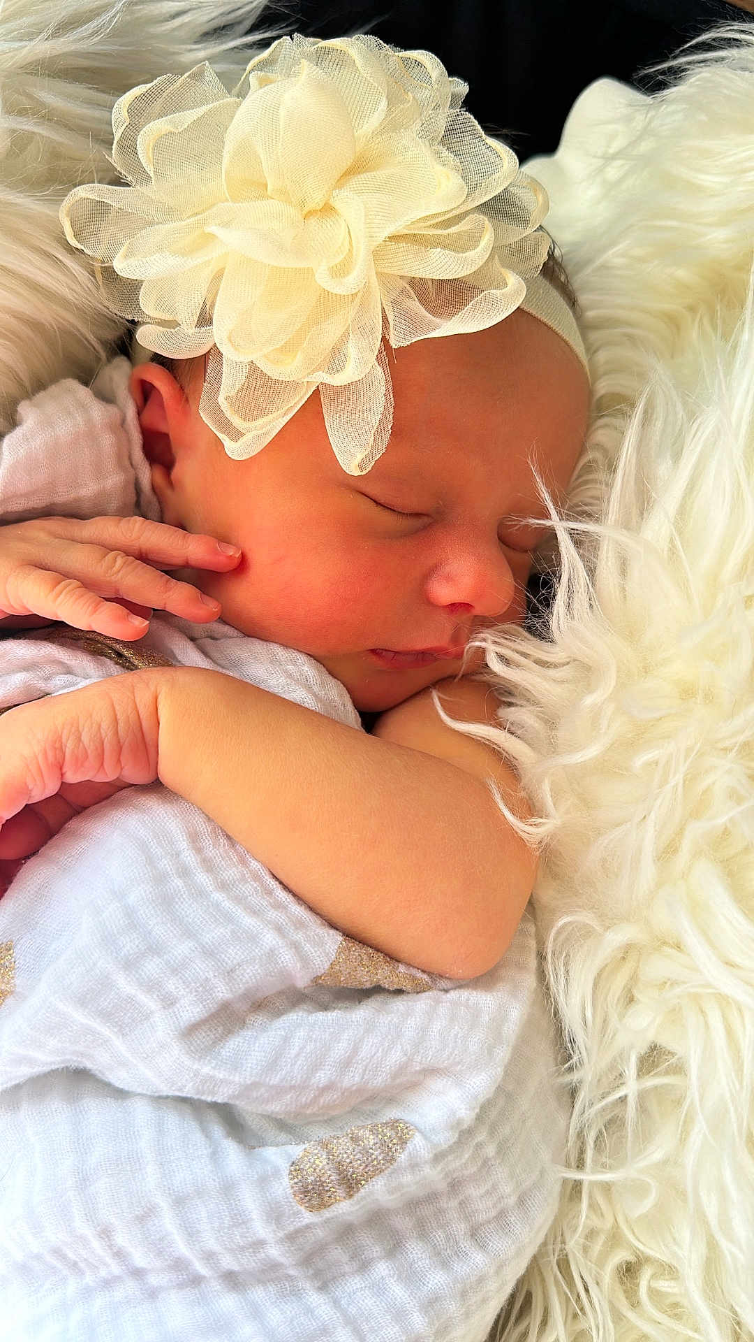 Kaelyn is registered to the contest to win money with this photo: newborn, baby, sleeping, blanket, headband, flower, closeup, soft, fur, cute, infant, peaceful, wrapped, skin, hand, portrait, resting, indoors, comfort, toddler