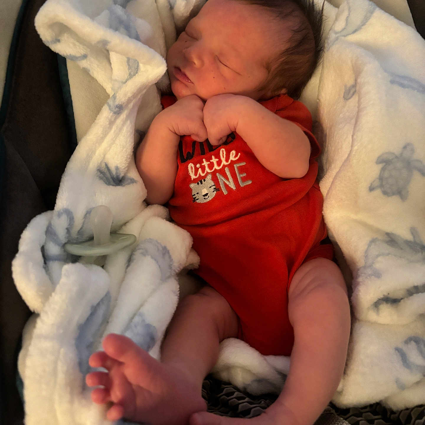 Ryland joined the competition — help win amazing prizes! newborn, baby, infant, sleeping, blanket, onesie, red_clothing, feet, hands, face, baby_seat, pacifier, soft_texture, turtle_pattern, cozy, cute, resting, indoors, close_up, child