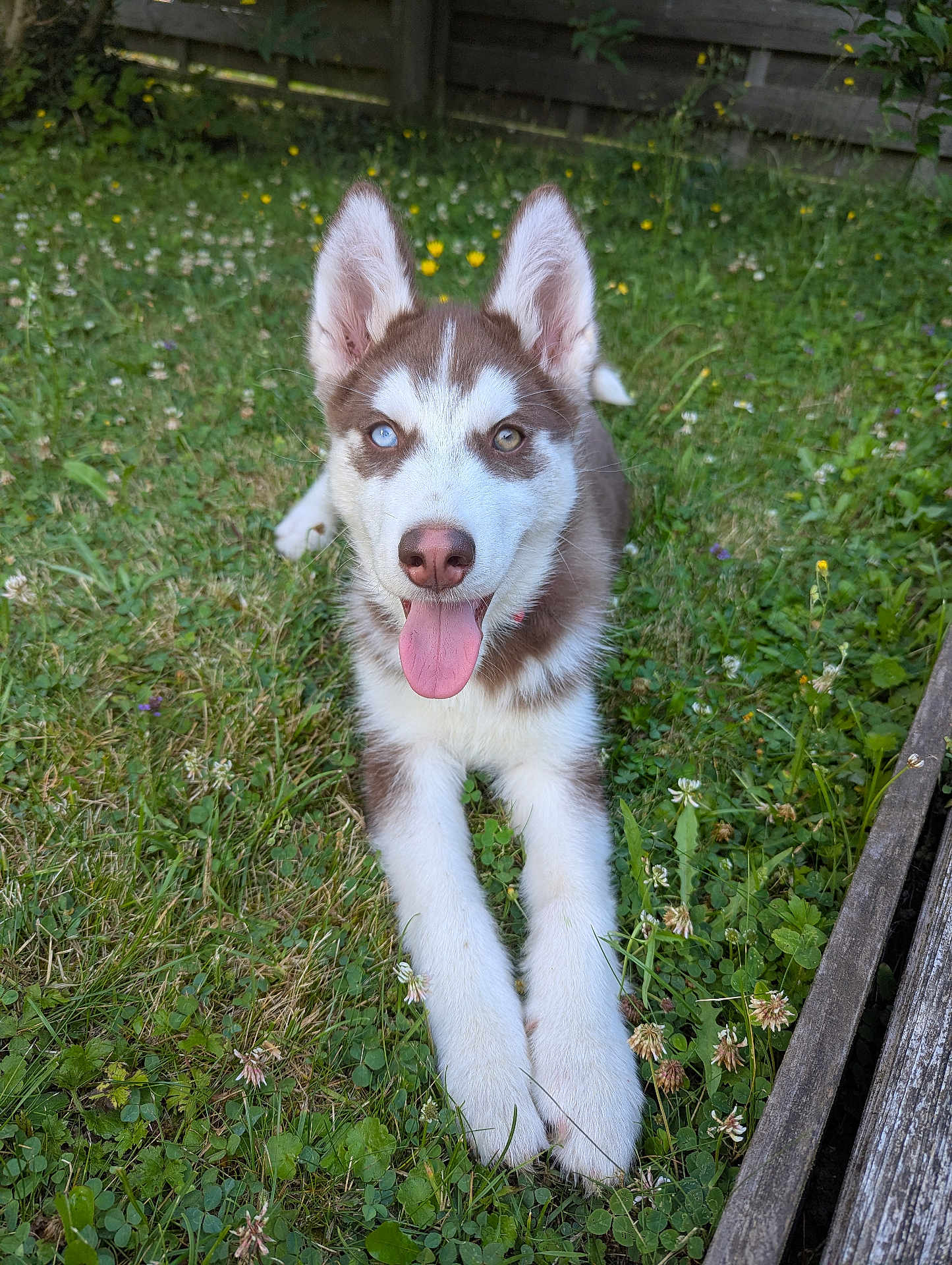 Alaska