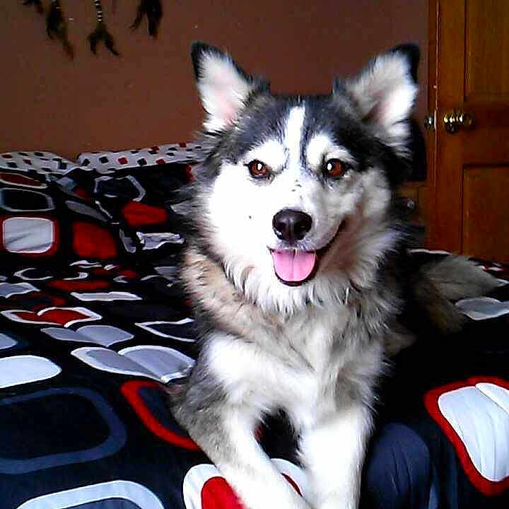 Kita joined the competition — help win amazing prizes!