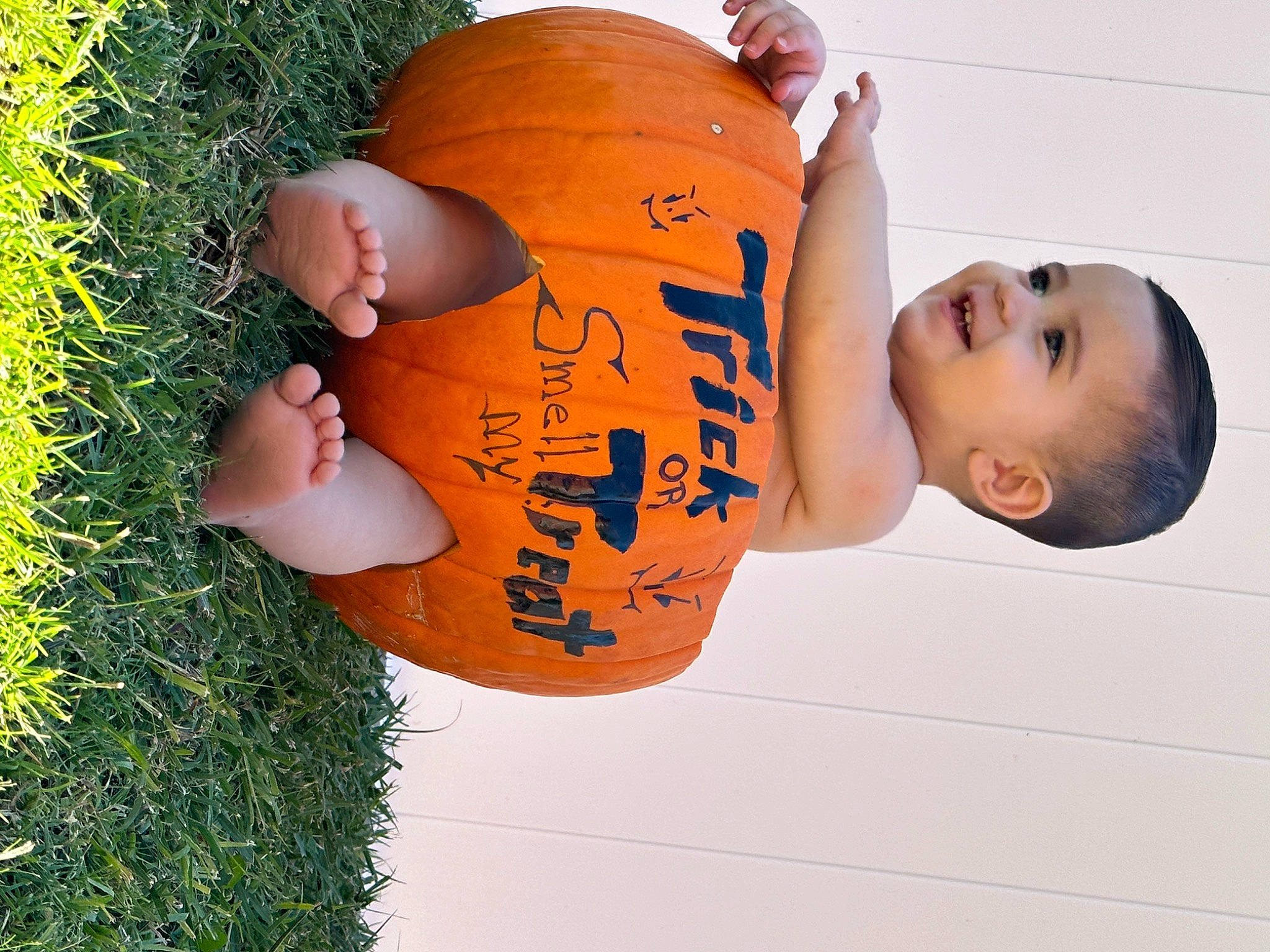 Rey is registered to the contest to win money with this photo: abdomen, child, elbow, fun, grass, happy, human_leg, joy, leisure, orange, people_in_nature, person, plant, thigh, toddler, tree, trunk, window