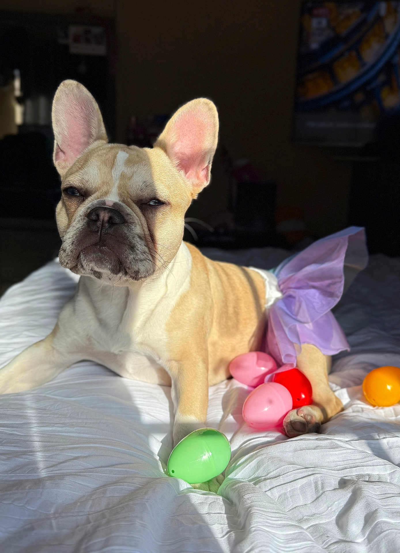 Stormi