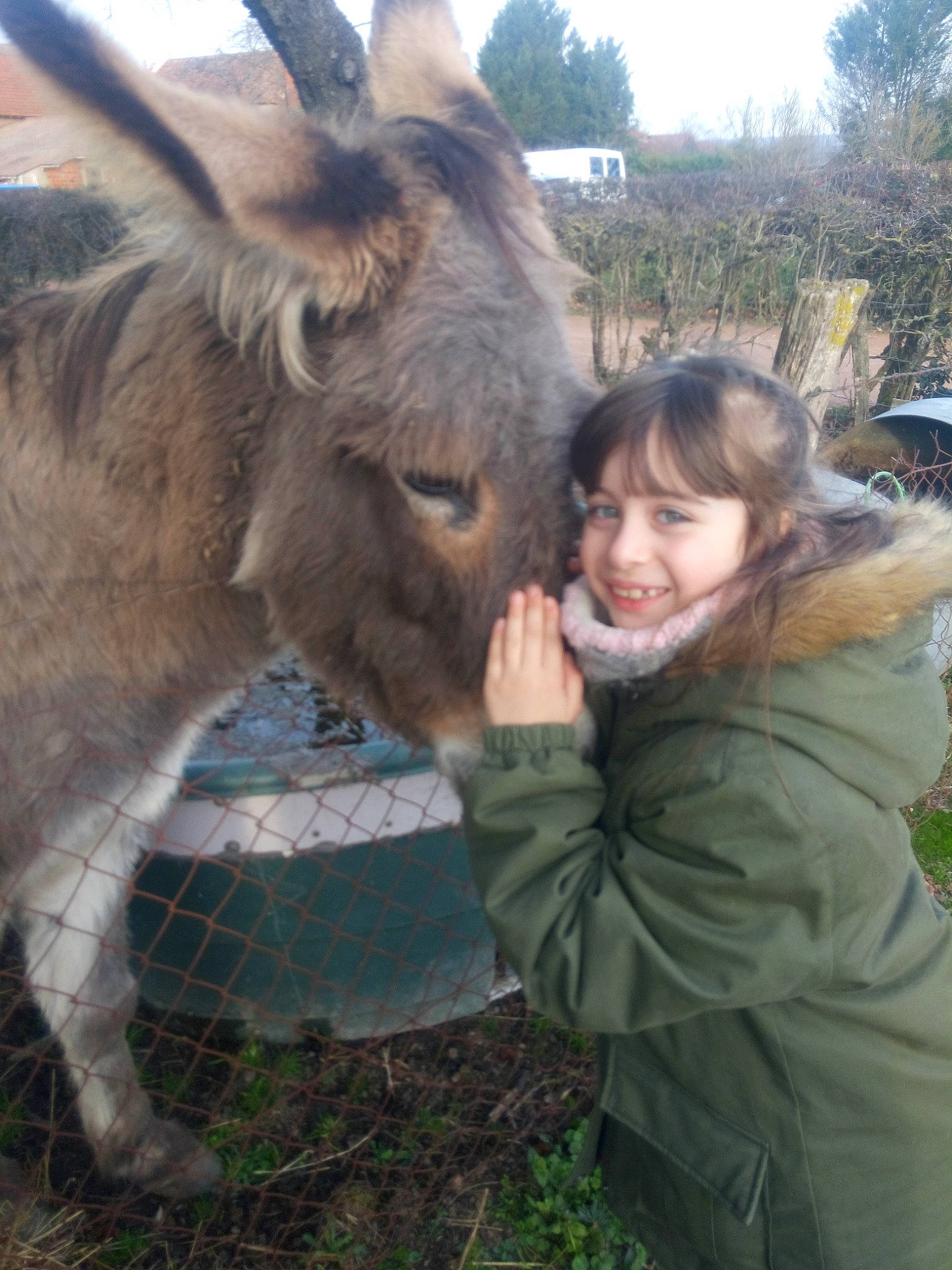 Ashley a rejoint le concours — aidez-le/la à gagner de superbes lots ! burro, fawn, horse, joy, livestock, mammal, pack_animal, person, snout, vertebrate, wildlife