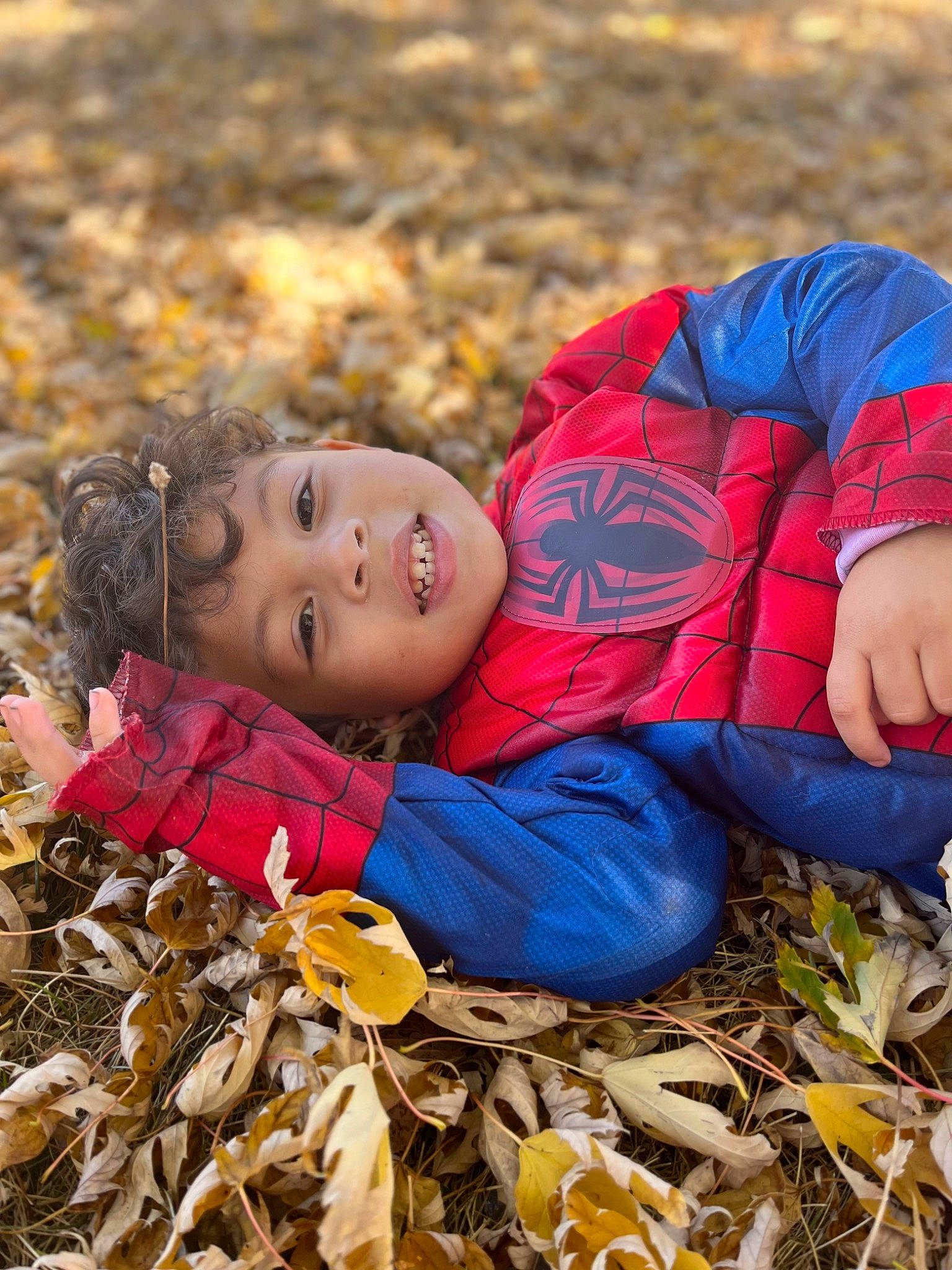 Joshua is registered to the contest to win money with this photo: adaptation, baby, child, deciduous, fun, grass, grassland, happy, hat, headwear, leaf, nature, orange, people, people_in_nature, person, plant, pumpkin, soil, toddler