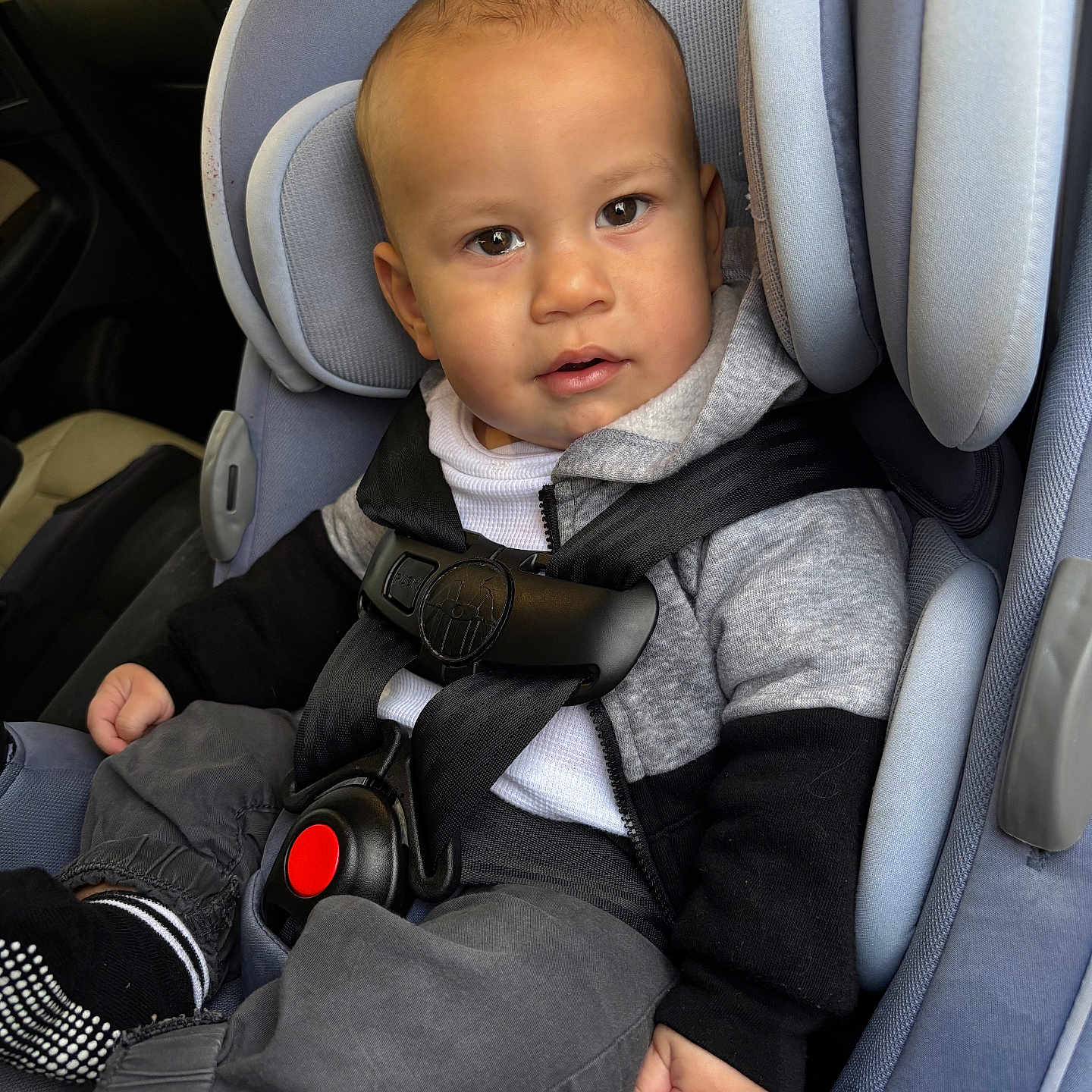 Myles is registered to the contest to win money with this photo: baby, black_clothing, car, car_interior, car_seat, casual_wear, child, child_seat, curious, gray_clothing, indoors, infant, portrait, safety, seatbelt, seatbelt_buckle, sitting, toddler, young_boy, young_child