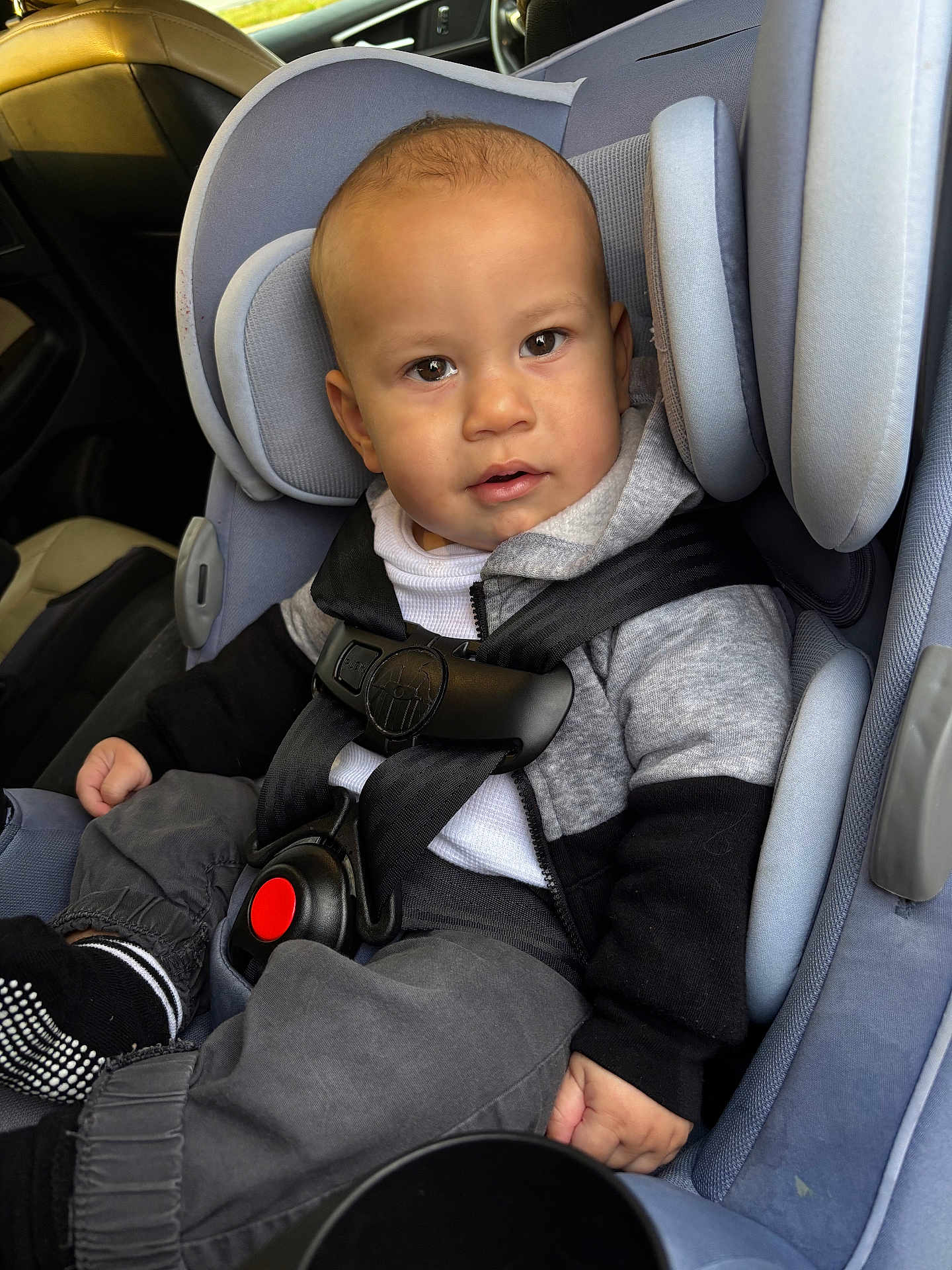 Myles is registered to the contest to win money with this photo: toddler, child, car_seat, seatbelt, gray_clothing, black_clothing, car_interior, sitting, safety, curious, young_child, baby, casual_wear, child_seat, infant, seatbelt_buckle, portrait, indoors, car, young_boy