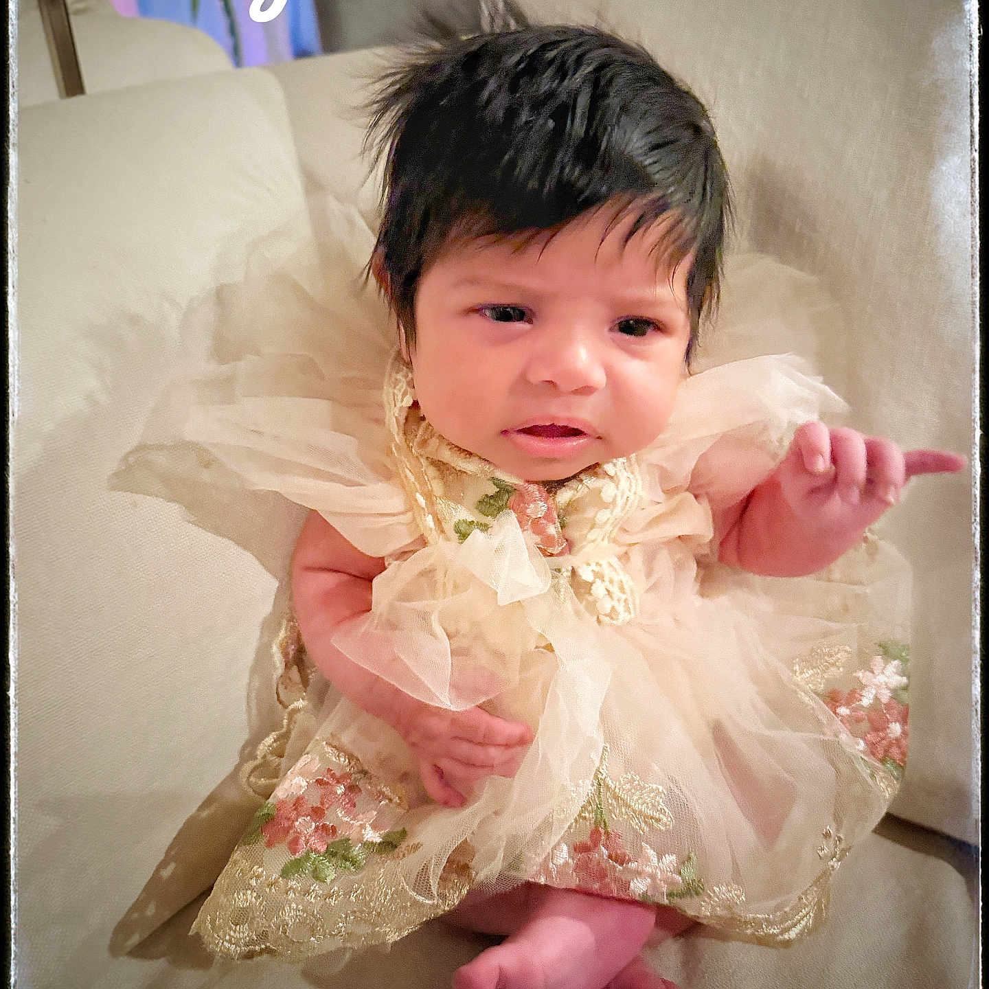 Lina Rose joined the competition — help win amazing prizes! baby, child, dress, frilly, floral, embroidery, couch, sitting, portrait, indoor, cute, curly_hair, face, expression, text_overlay, vintage_frame, hand, foot, person, soft_lighting