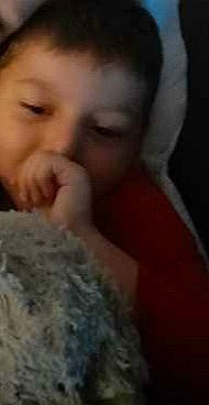 Matteo participe au concours pour gagner de l'argent avec cette photo : arm, chin, comfort, dog_breed, eye, eyebrow, felidae, finger, fur, gesture, human_body, jaw, mouth, nail, neck, nose, person, small_to_medium_sized_cats, snout, thumb