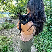 Gizmo a rejoint le concours — aidez-le/la à gagner de superbes lots ! animal, black_cat, casual_clothing, cat, curious, daylight, forest, greenery, hair, nature, outdoor, pathway, person, pet, river, scenic, shoulder, trees, walking, wildlife