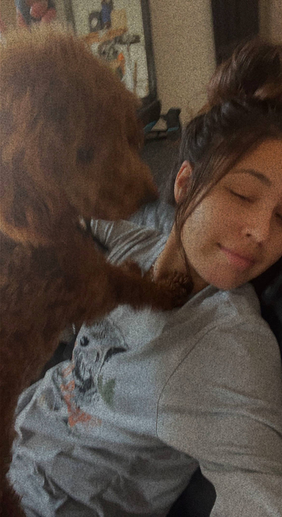 Tommy is registered to the contest to win money with this photo: art, carnivore, comfort, companion_dog, dog_breed, ear, fawn, felidae, fur, jaw, long_hair, mammal, nose, selfie, small_to_medium_sized_cats, snout, toy, whiskers, wood, working_animal