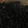 Angel is registered to the contest to win money with this photo: black, leather, net, pattern, textile