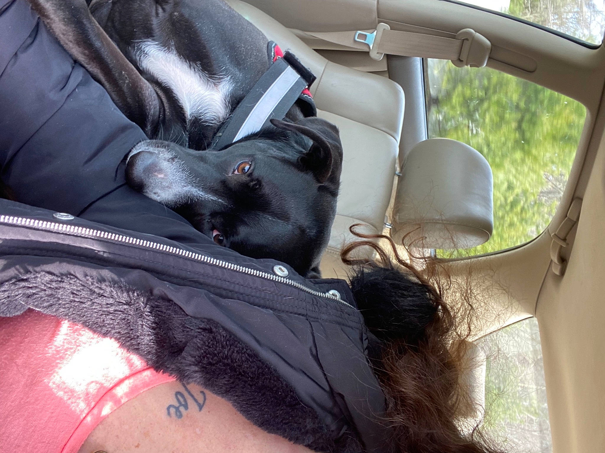 Angel joined the competition — help win amazing prizes! auto_part, automotive_design, automotive_exterior, automotive_window_part, car, car_seat, car_seat_cover, comfort, family_car, head_restraint, human_leg, luxury_vehicle, motor_vehicle, personal_luxury_car, steering_part, steering_wheel, vehicle, vehicle_door, window, windshield