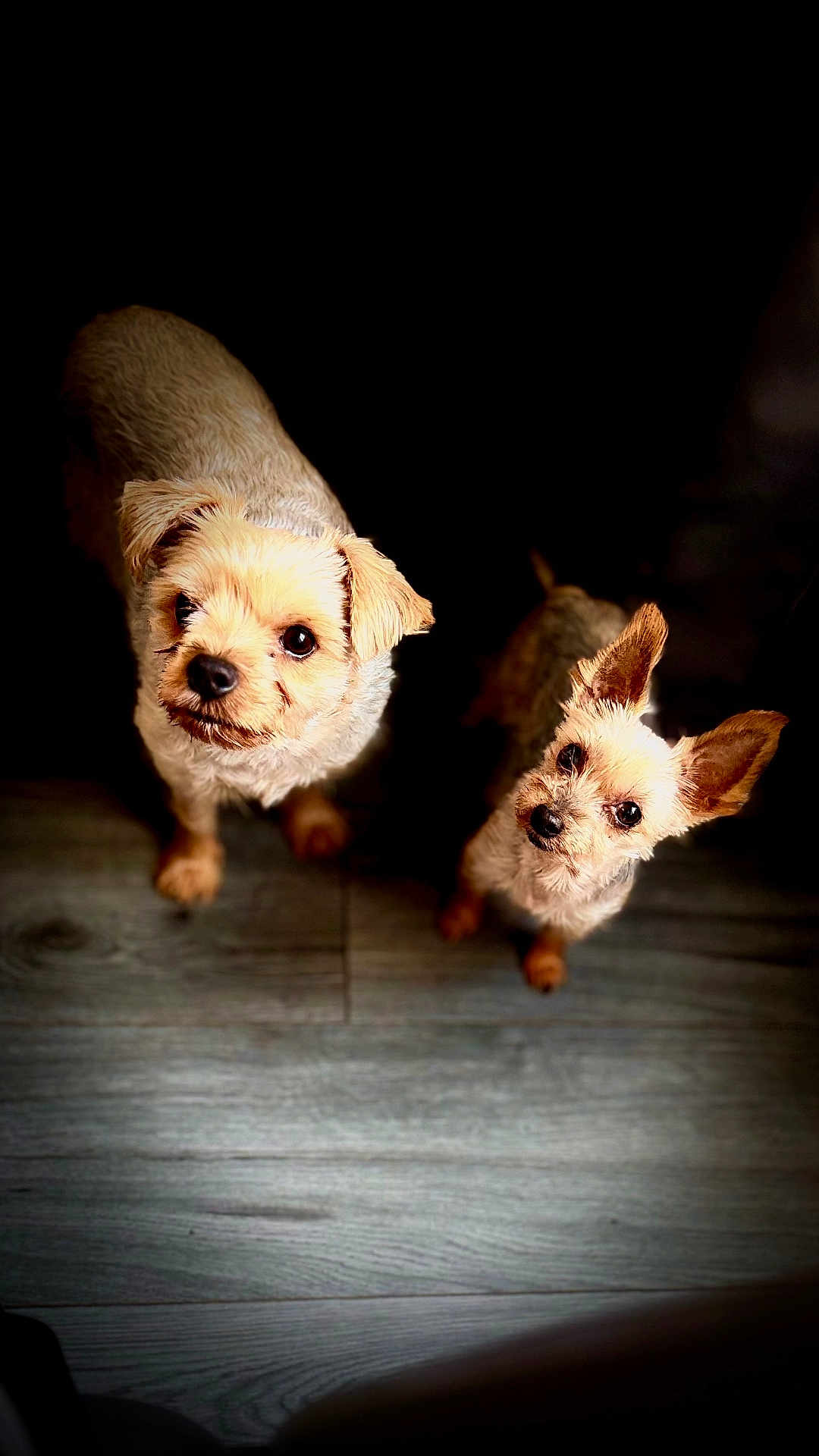 Sam Et Maya