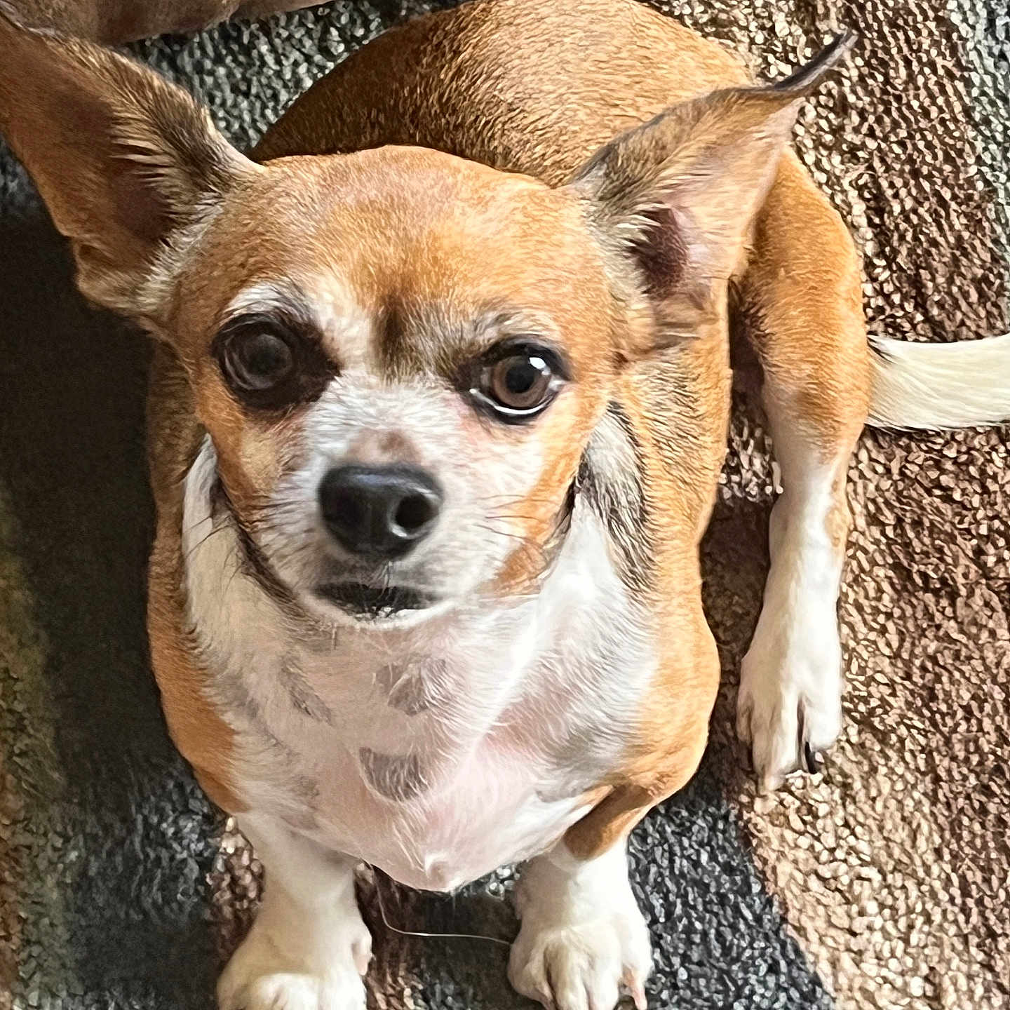 Diego