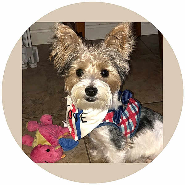 Milo
