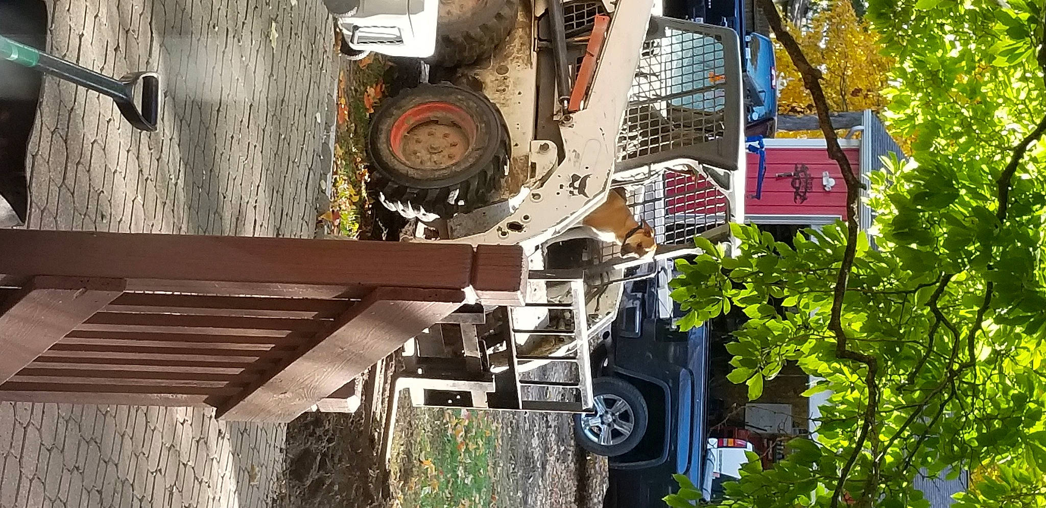 Max is registered to the contest to win money with this photo: automotive_design, automotive_exterior, automotive_lighting, automotive_parking_light, automotive_tire, building, bumper, car, fender, hood, mode_of_transport, motor_vehicle, plant, tire, tread, tree, vehicle, wheel, window, wood