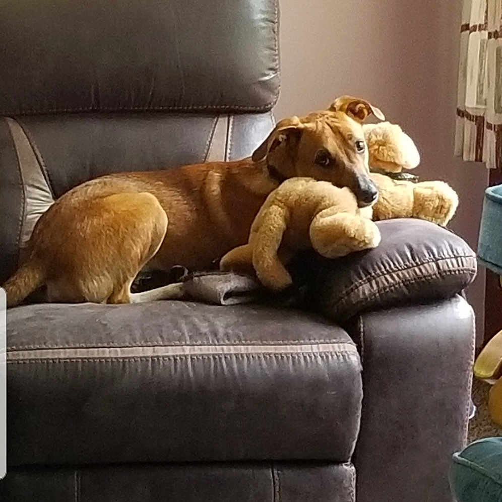 Max