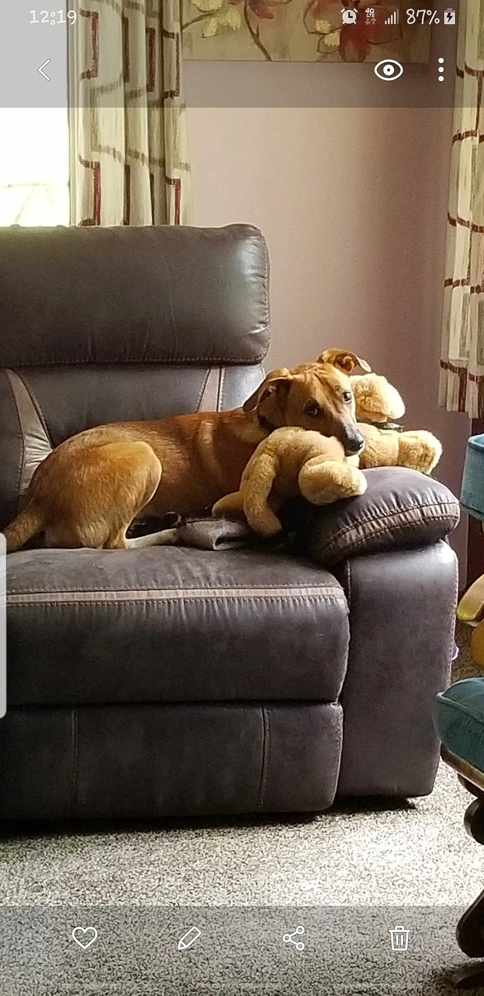 Max