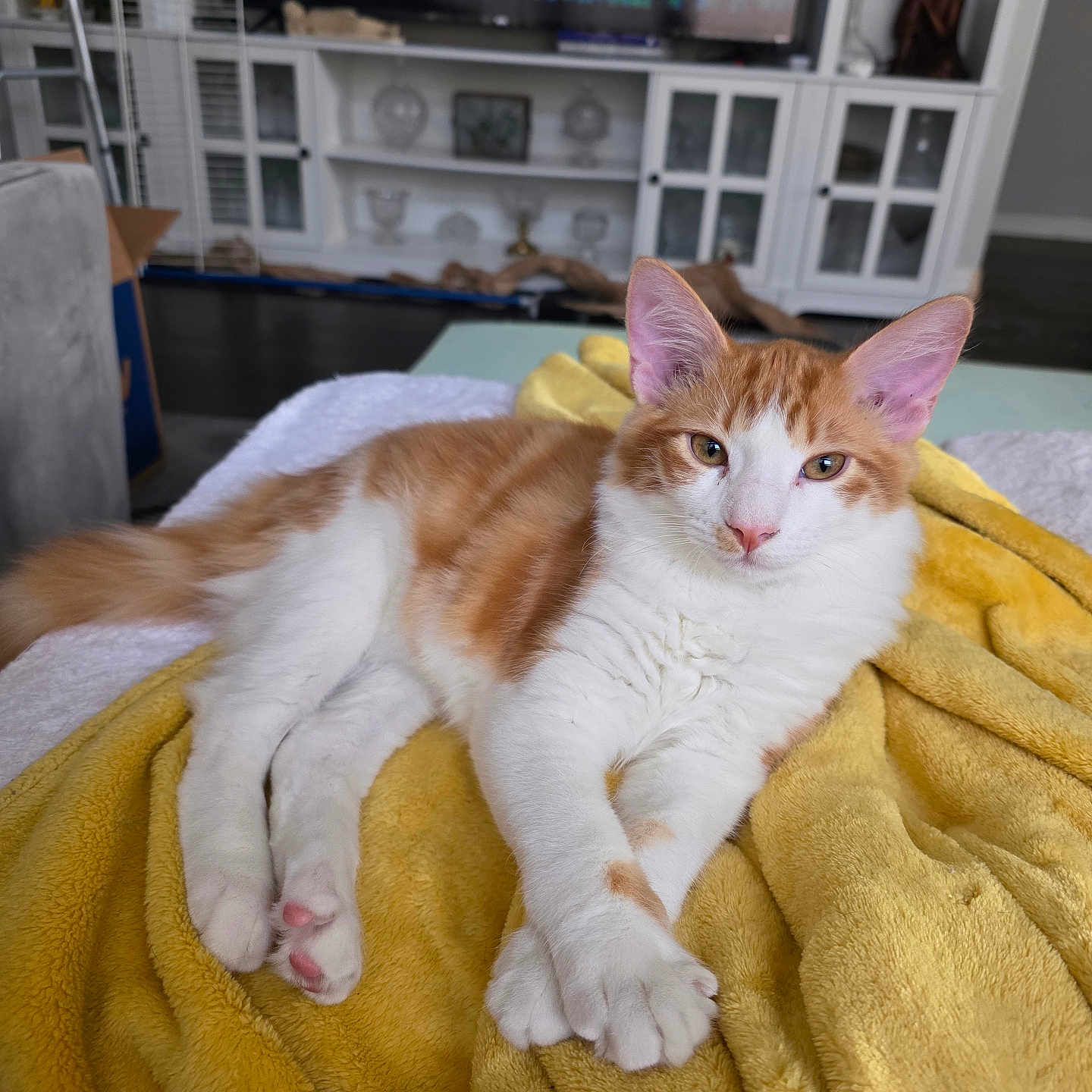 Oliver