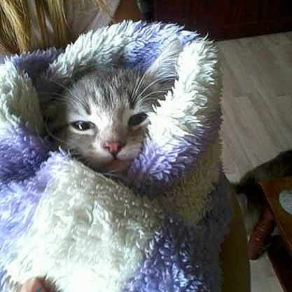 Bacon is registered to the contest to win money with this photo: